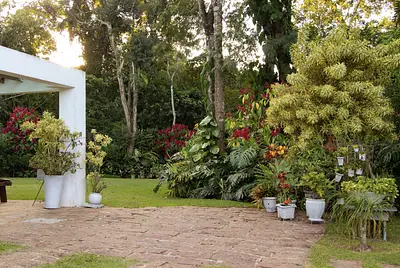 Casa colonial e mata atlântica para fotos e filmes