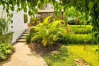 Casa moderna com jardim tropical