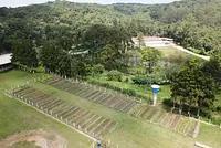 Fazenda Mandala Orgânicos