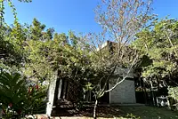 Casa Moderna Industrial Integrada à Mata Atlântica